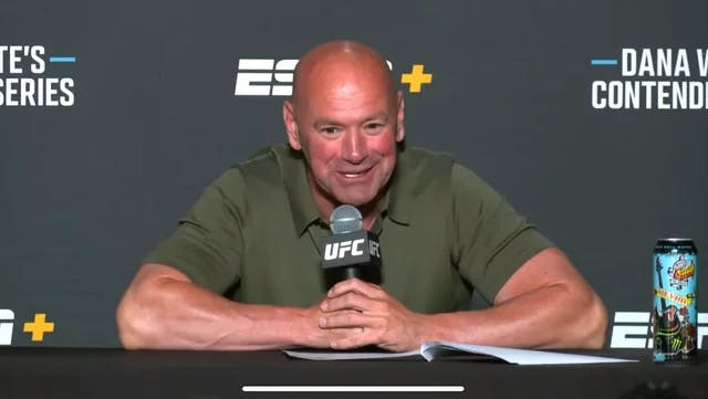 Dana White Responds to Stephen Thompson's Claims of Unpaid UFC 291 Compensation - 'Fighting is Earning'